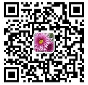 安徽禾田电气有限公司